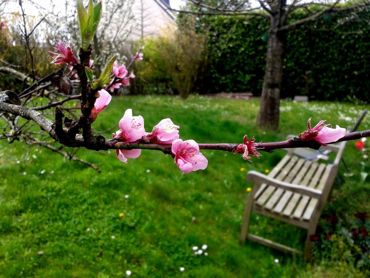 Maison La Chapelle Bed & Breakfast Bagian luar foto